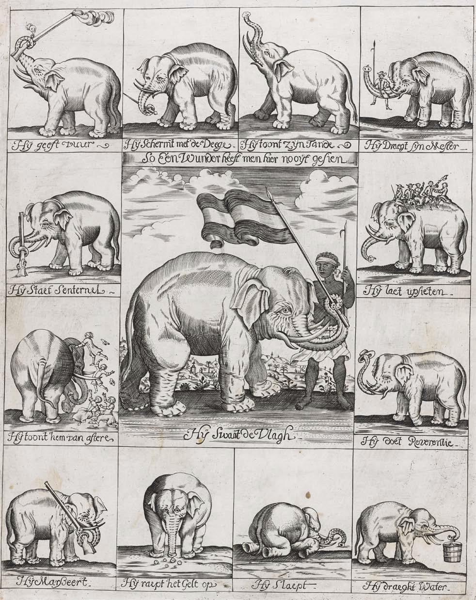 Elephant advert 1690