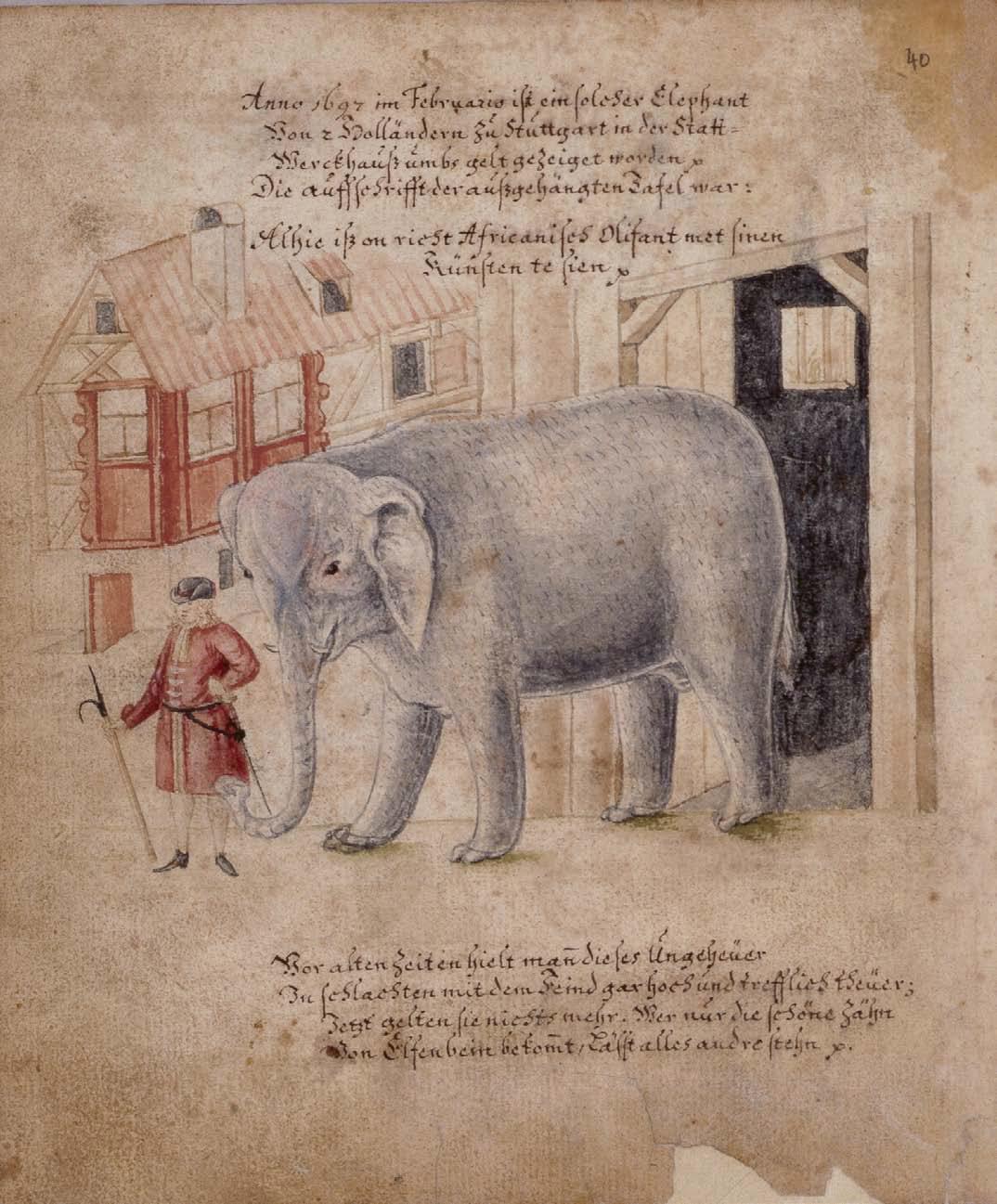 Stuttgart Oliphant