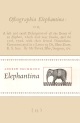 Elephantina - the cover