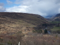 Braemore, April 2019